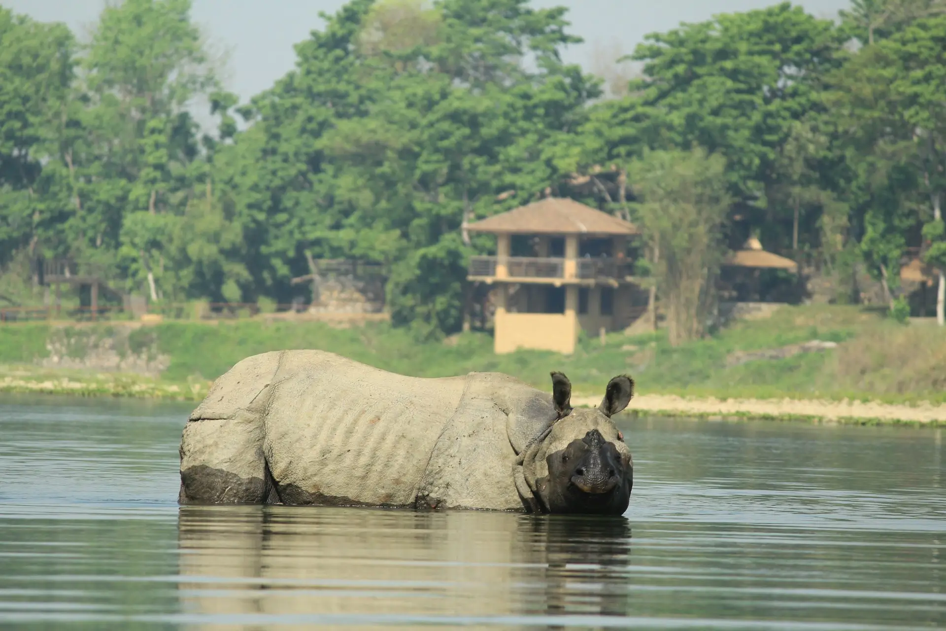Chitwan National Park