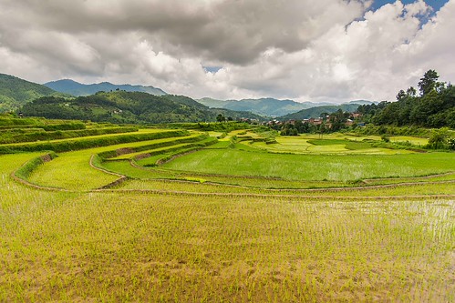 Hiking and Homestay Experience